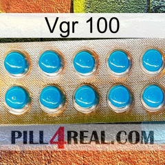 Vgr 100 new09